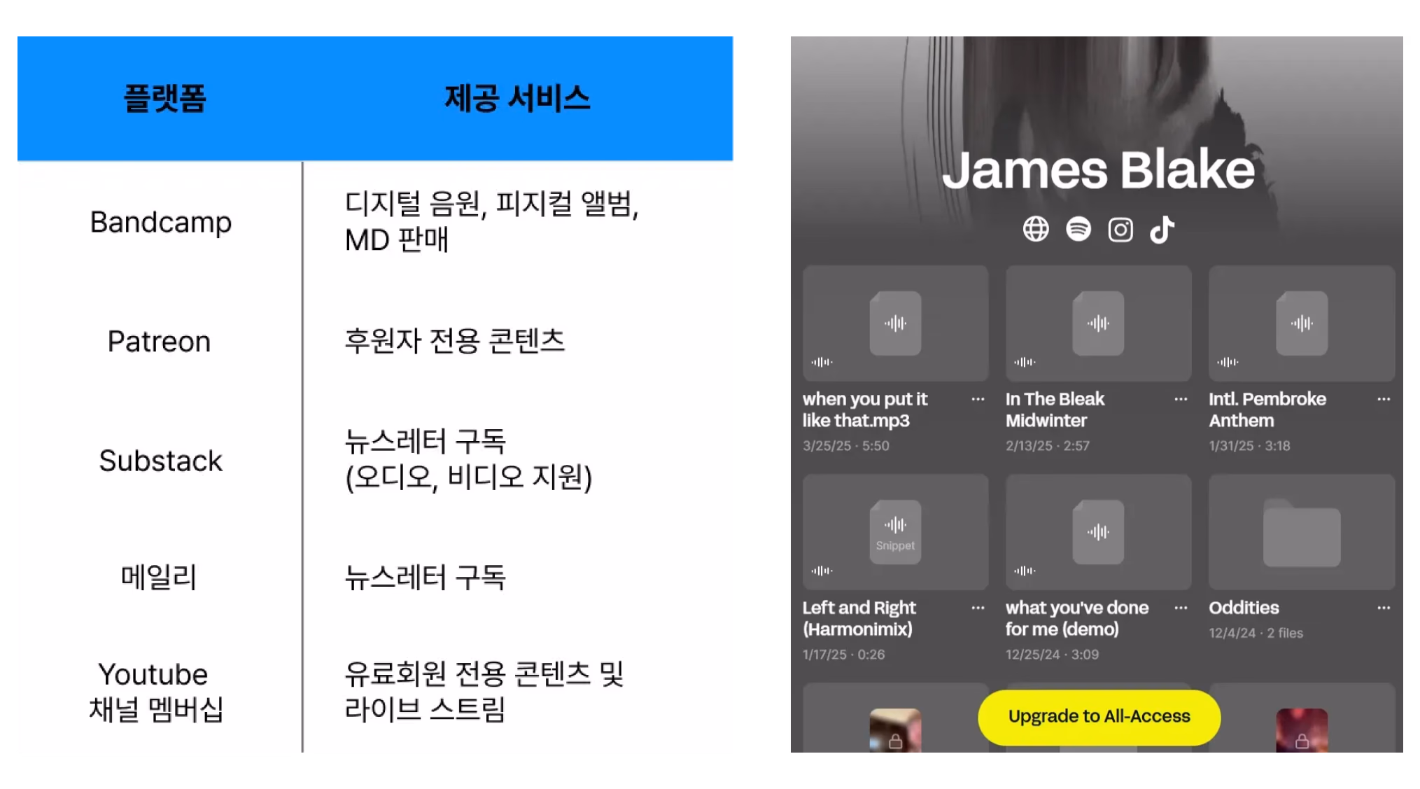 (2) 2024년 3월 제임스 블레이크가 런칭한 음원 독점 공개 서비스 Vault.fm 페이지